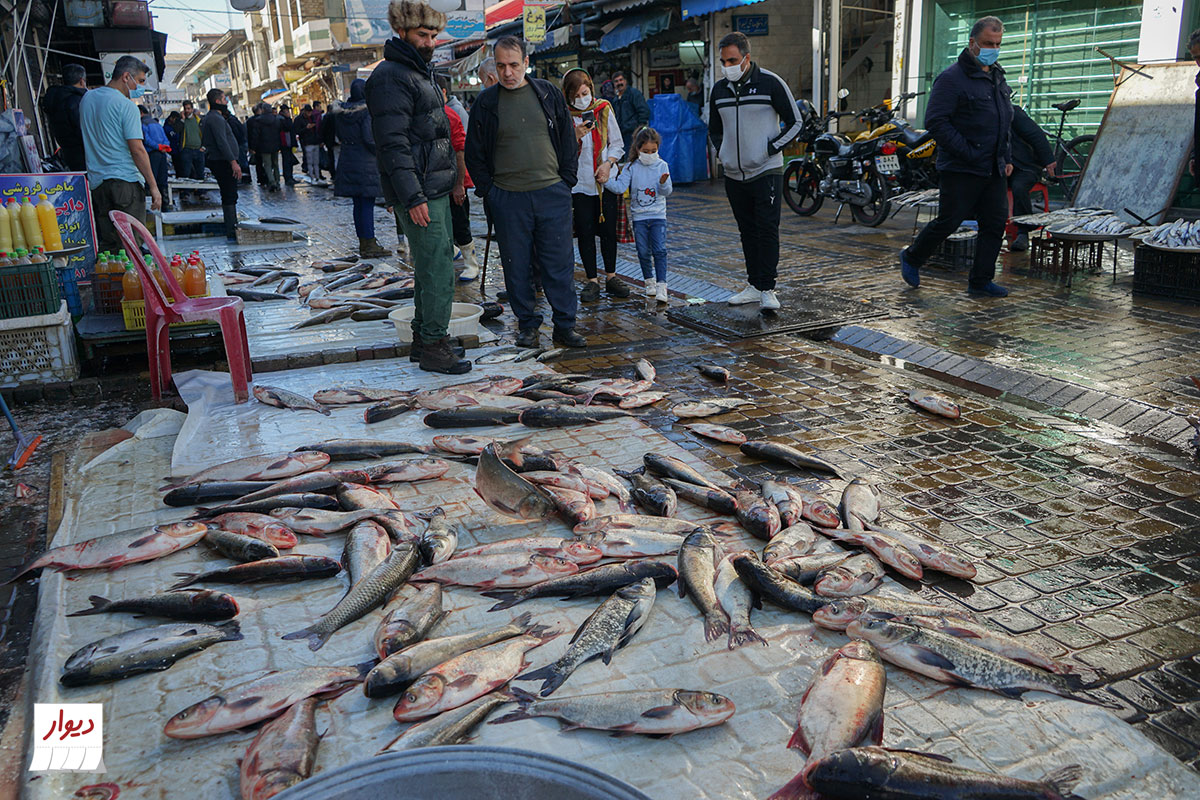 ماهی فروشی در رودسر