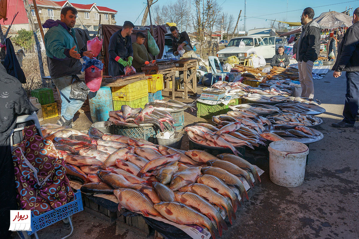 ماهی فروشی در سیاهکل