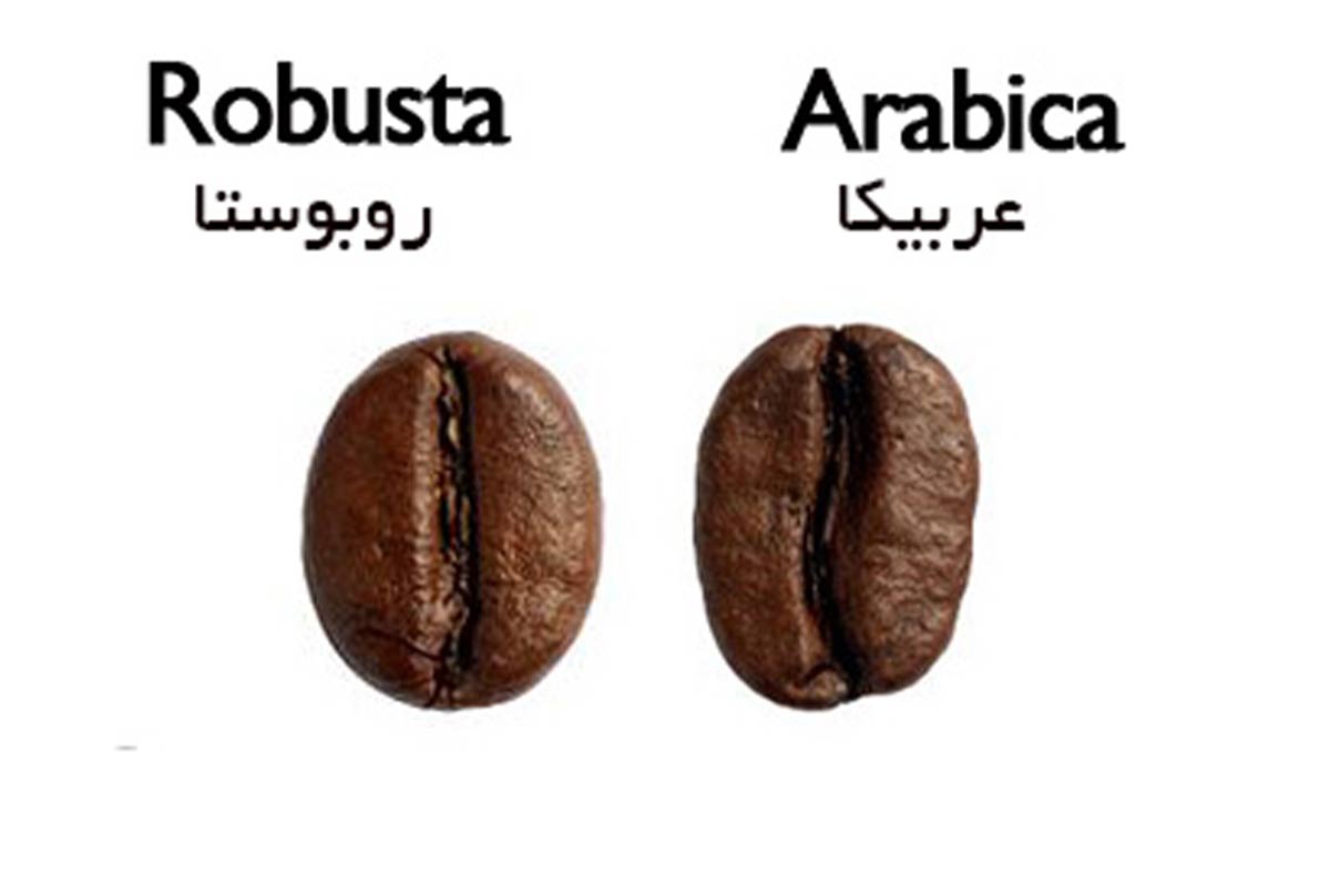 تفاوت انواع قهوه و ترکیبات آن